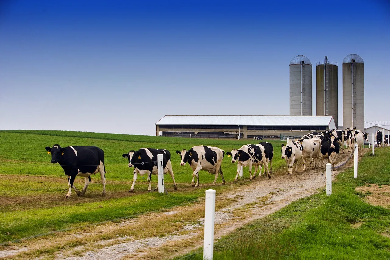 Landwirtschaft